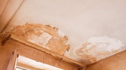 Penetrating Damp Damage to the ceiling