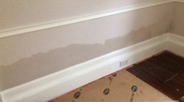 Rising damp tidemark