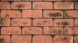 Brick wall affected by damp